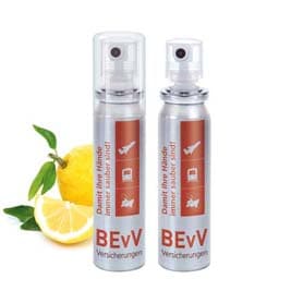 Handreinigungsspray, 20 ml, No Label Look (Alu Look)