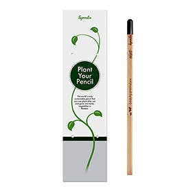 Sprout™ | Bleistift in Einzelverpackung